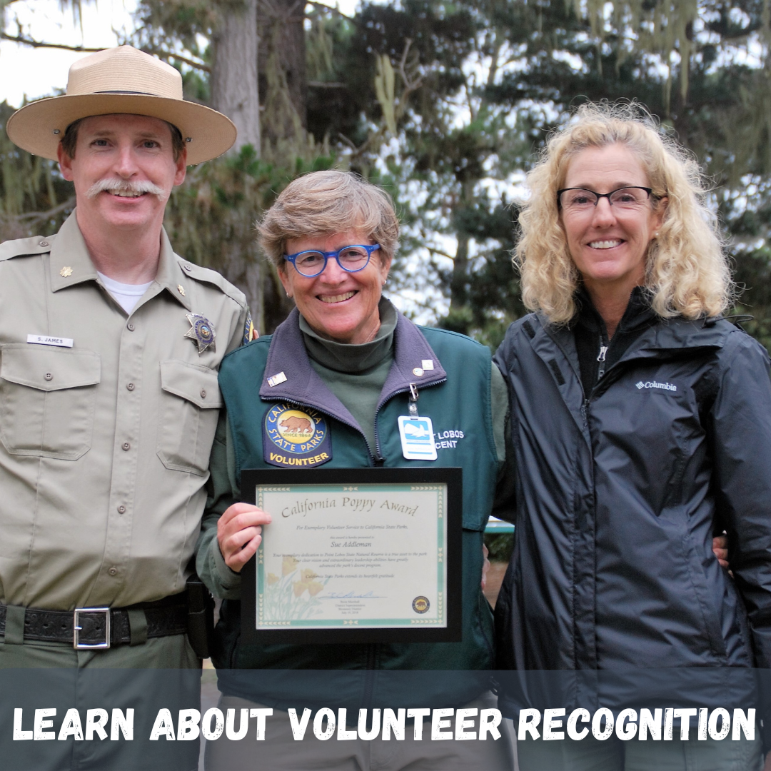 Learn About Volunteer Recognition